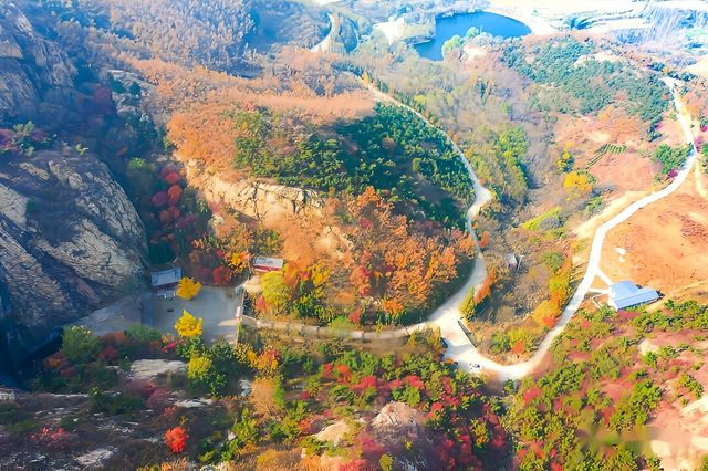 漫山紅葉醉深秋