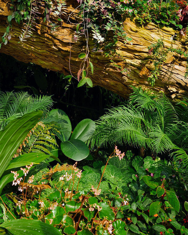 The Most Instagrammable Spots at Cloud Forest