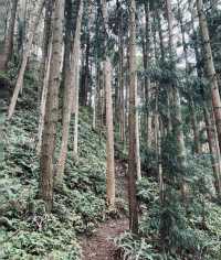 廣東景點-雲浮八排山