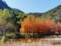 江浙滬徒步天花板 ｜ 紹興覆卮山