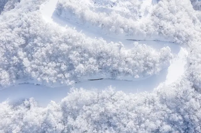 ขออภัยที่มาที่นี่เขาเม่นเล็กๆ นี้