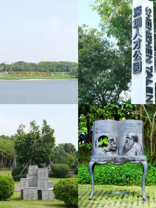 深圳 人才公園 ｜風景超美的公園，白天露營，傍晚看黃昏