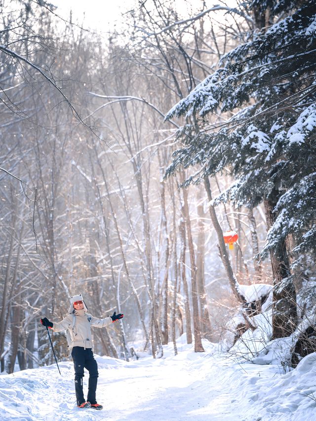 徒步穿越15公里的森林雪原才是雪鄉正確的開啟方式