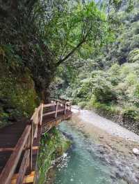 重慶 黑山谷｜山中無別事，歲月無閒愁