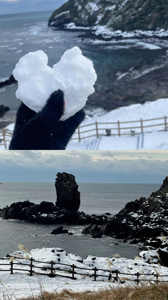 冬日濟州島一遊