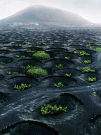 西班牙異世界Lanzarote火山和海相愛的地方