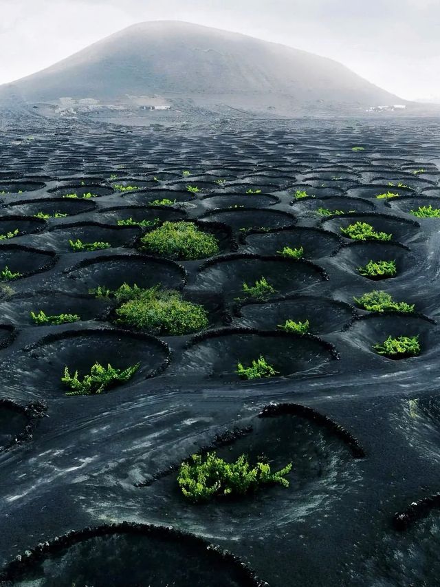 西班牙異世界Lanzarote火山和海相愛的地方