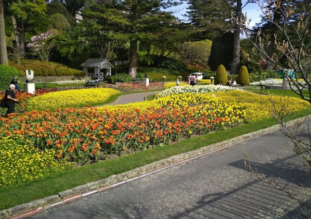 惠靈頓植物園：自然之美的探索之旅