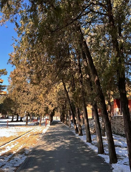 北京周邊溫泉｜湯泉宮溫泉度假村