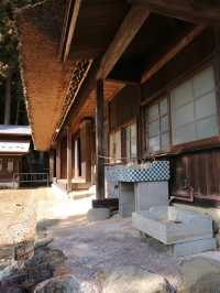 富士箱根｜你要嘅電影感🩵冬季嘅旅行計劃