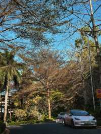 廣州|花都區木蓮莊酒店