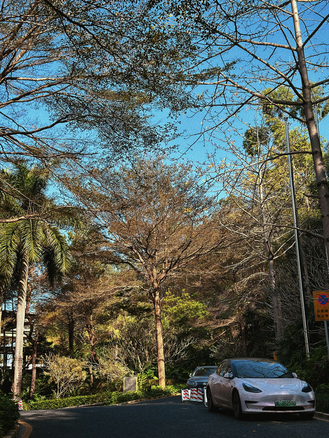 廣州|花都區木蓮莊酒店