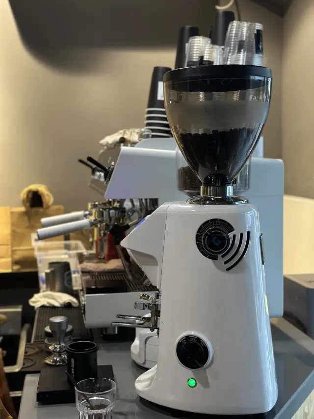Finally, the long-awaited DOGDAYS summer coffee shop has arrived