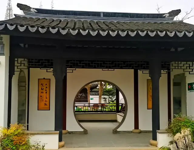 Step into the ancient vine garden in Minhang, Shanghai