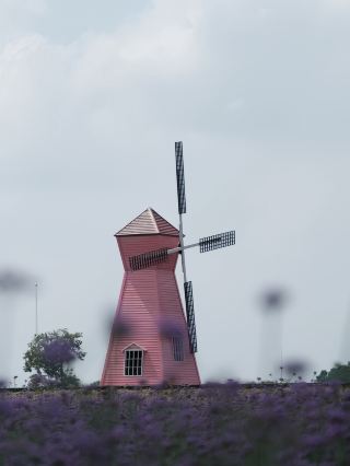 여기는 윈난이 아니라 우한이다 │무촨만 생명생태공원 동화가 현실로 빛난다 우한에는 또 다른 낙원이 있다!! 국경일 여행 가이드 주소: 무천만 생명 생태 공원