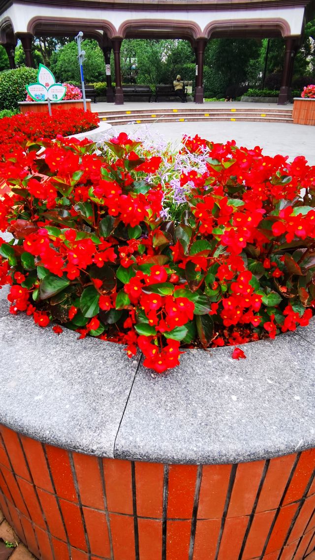 霍山公園：曾經的猶太難民活動聚會之地
