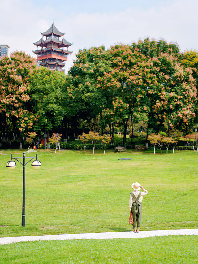 成都不止大熊貓！逛完這 5個公園再離開！