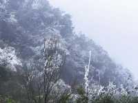 屬於南寧的冬日浪漫 |大明山霧凇霧凇凝結讓一草一木綻開銀花冬日
