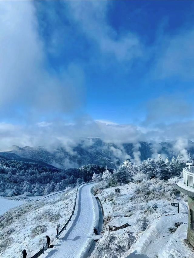 武漢短逃離神農架2天1夜省錢遊玩攻略！！