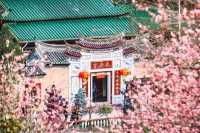 回家了，去看看故鄉梅州的梅花吧，一起去拍照打卡吧！