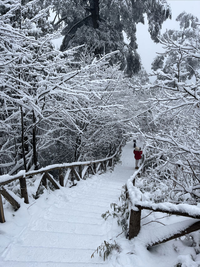 遠離人群，這個地方太適合雪地撒歡啦