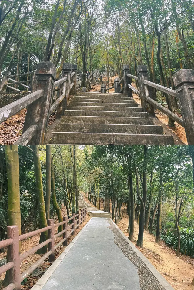 單程3h陽台山登頂盤山公路風景很美