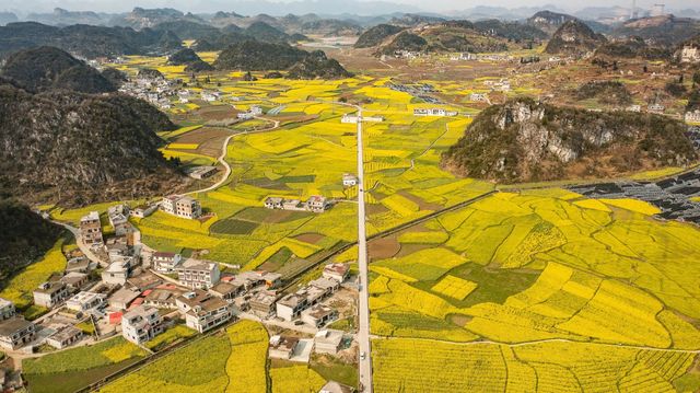 貴州省六盤水：春暖花開，蝴蝶自來