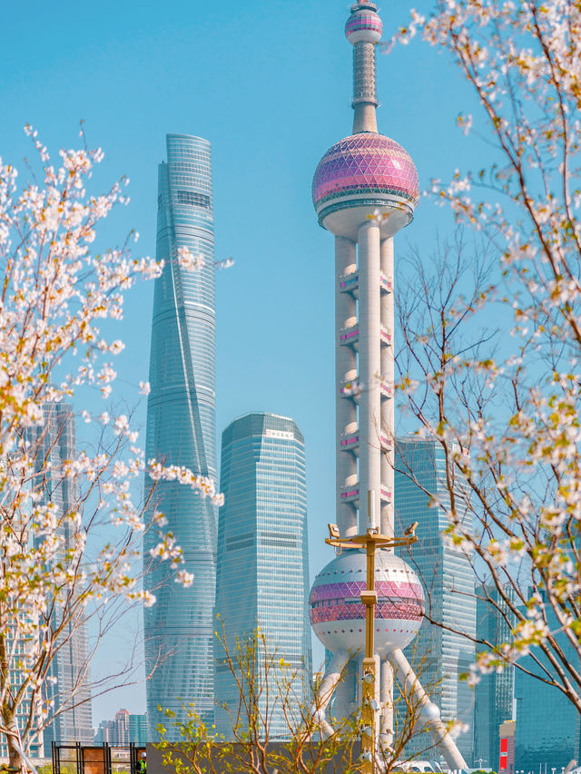 Shanghai's Most Endearing Street—Huangpu Road