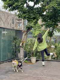 在深圳…帶狗子來個staycation吧！