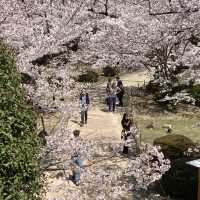 Magical Himeji castle