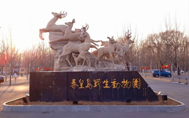 第一次來秦皇島野生動物園看這篇就夠了