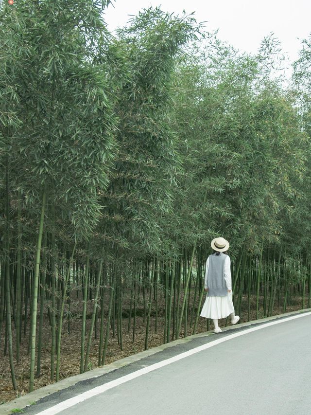 成都周邊｜太愛這個茶園裡開滿櫻花的文藝村