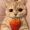 Joyful_123_Mitchell