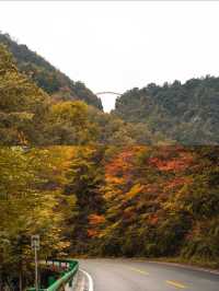 湖北賞秋🍂酒神灣