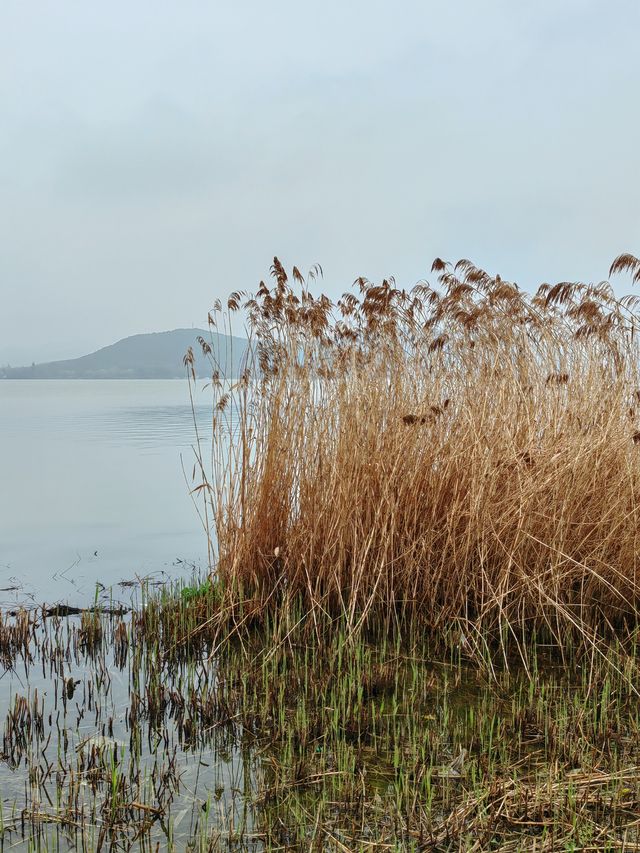 徐州滨湖公園