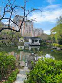 春日賞花好去處閘北公園