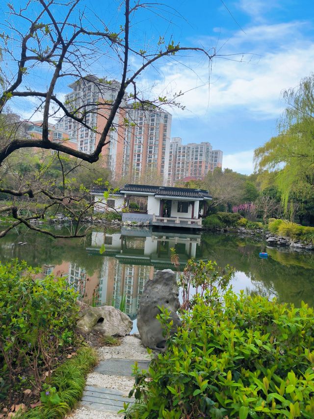 春日賞花好去處閘北公園