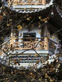 江蘇旅遊｜藏在老城區裡的宋代寶塔-南通天寧寺