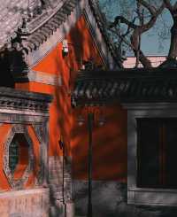 北京藝術博物館|觀古建賞玉蘭，太美了