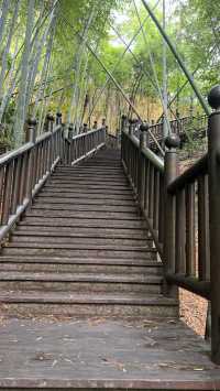 浙江寧波天童寺｜山間走禪，見性見佛