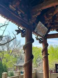 太原｜千年一園看晉祠