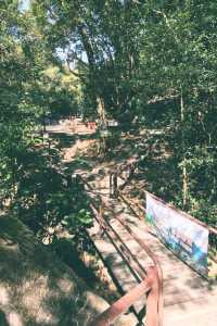 渣甸山及畢拿山・大潭水塘、紅屋半日遊