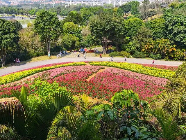 Immersed in a sea of flowers--a visit to Qingxiu Mountain