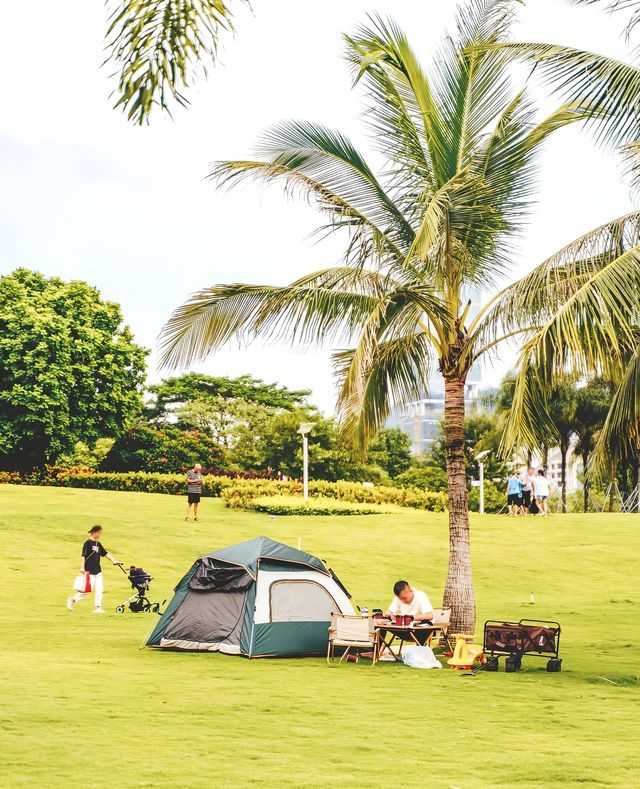 我宣布！這是深圳最美海邊公園