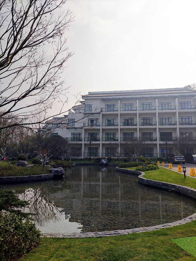 元旦假期浙江賓館超滿意的住宿體驗——