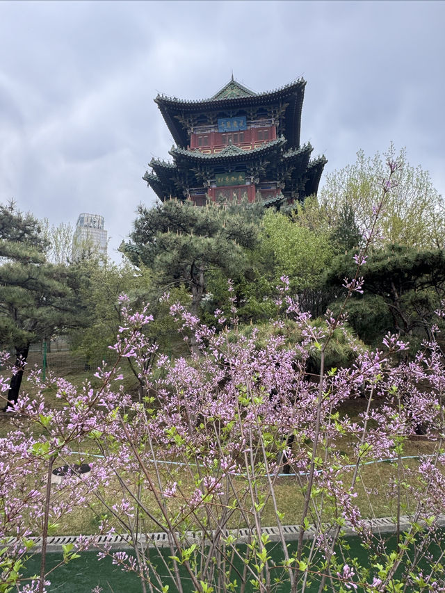 春雨後的迎澤公園