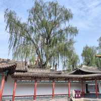 太原碑林公園·看傅山書法