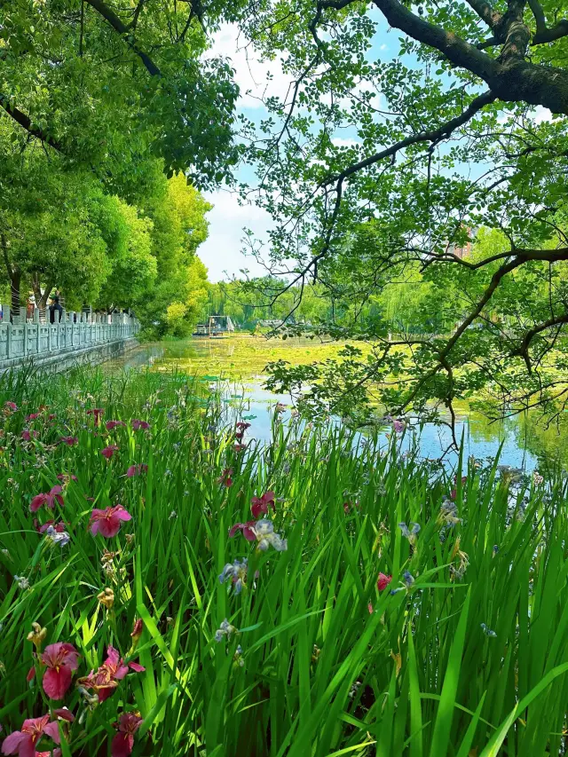 Cuihu Park | Slow down your life!!!