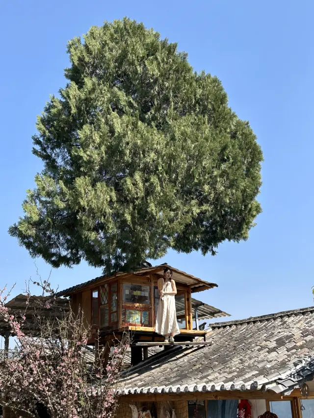 雲南旅遊|沙溪古鎮超詳細打卡拍照攻略