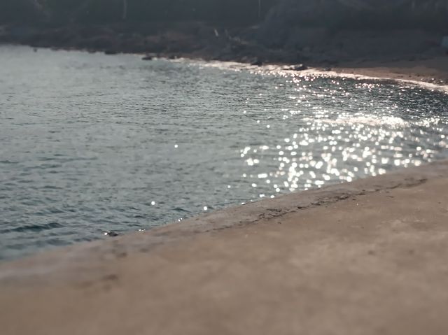 青島之行